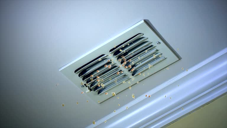 Best Commercial HVAC Duct Cleaning  in Alamogordo, NM