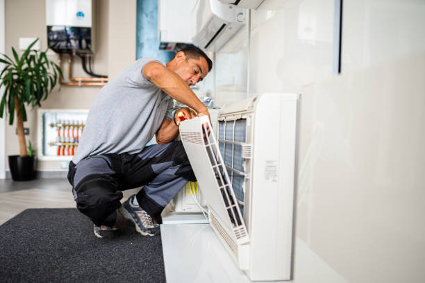 Best Air Duct Mold Removal  in Alamogordo, NM