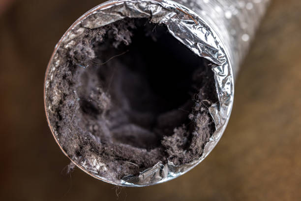 Best Commercial Air Duct Cleaning  in Alamogordo, NM